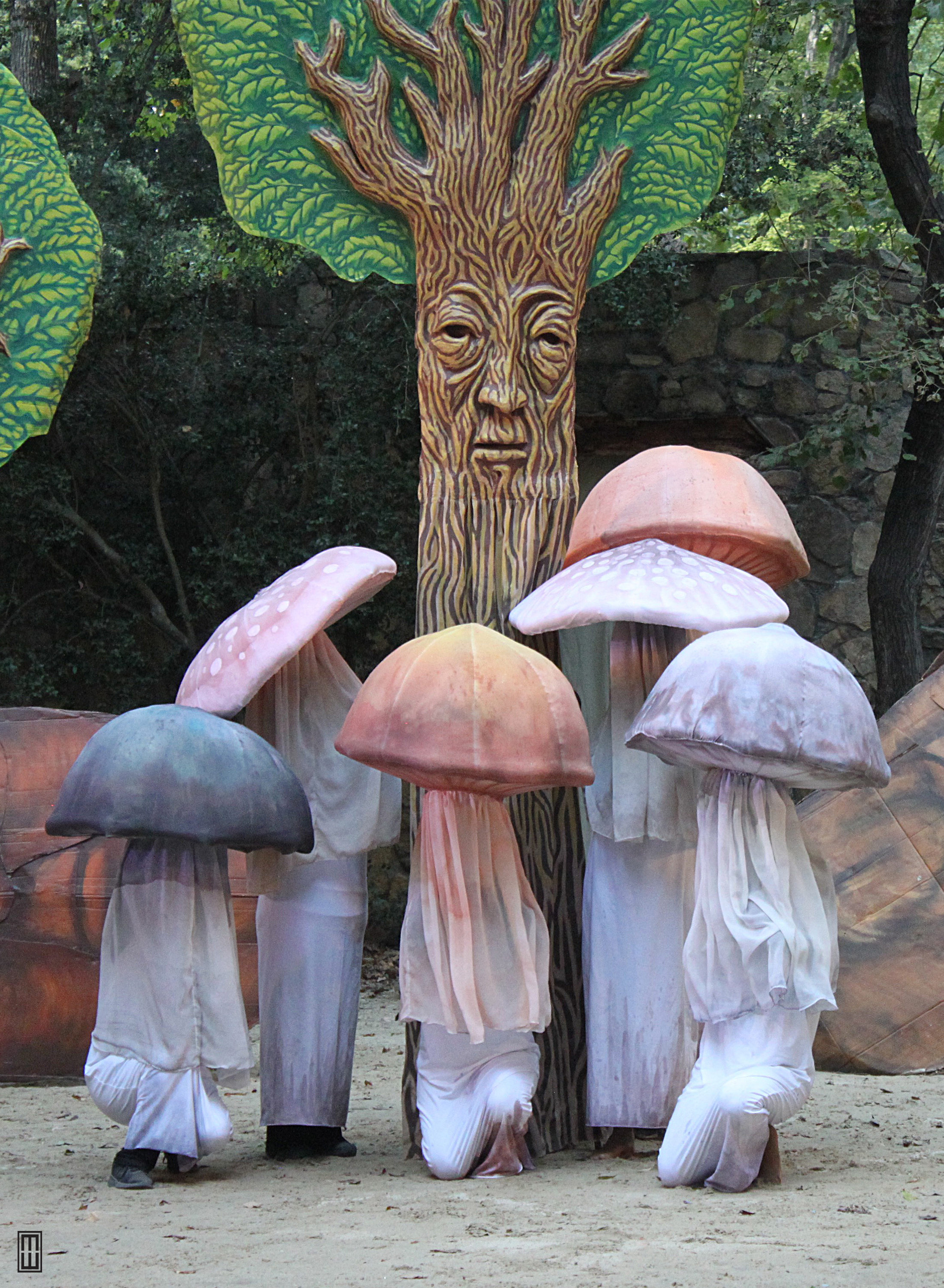 6 performers dressed as mushrooms stand under a tree puppet with a wise old face.