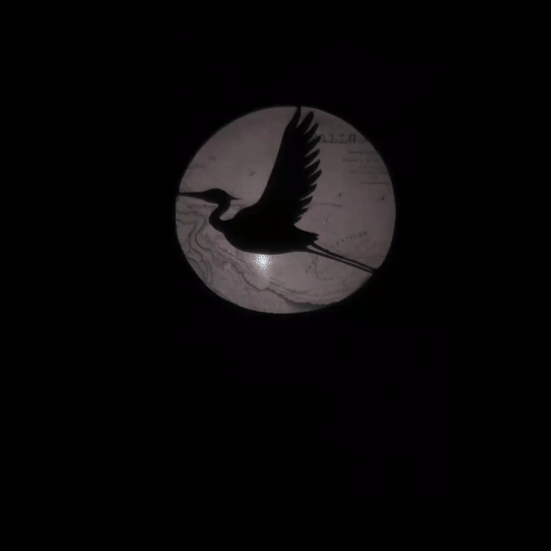 A gif of the silhouette of a flying heron, surrounded by swirling blue and green water.