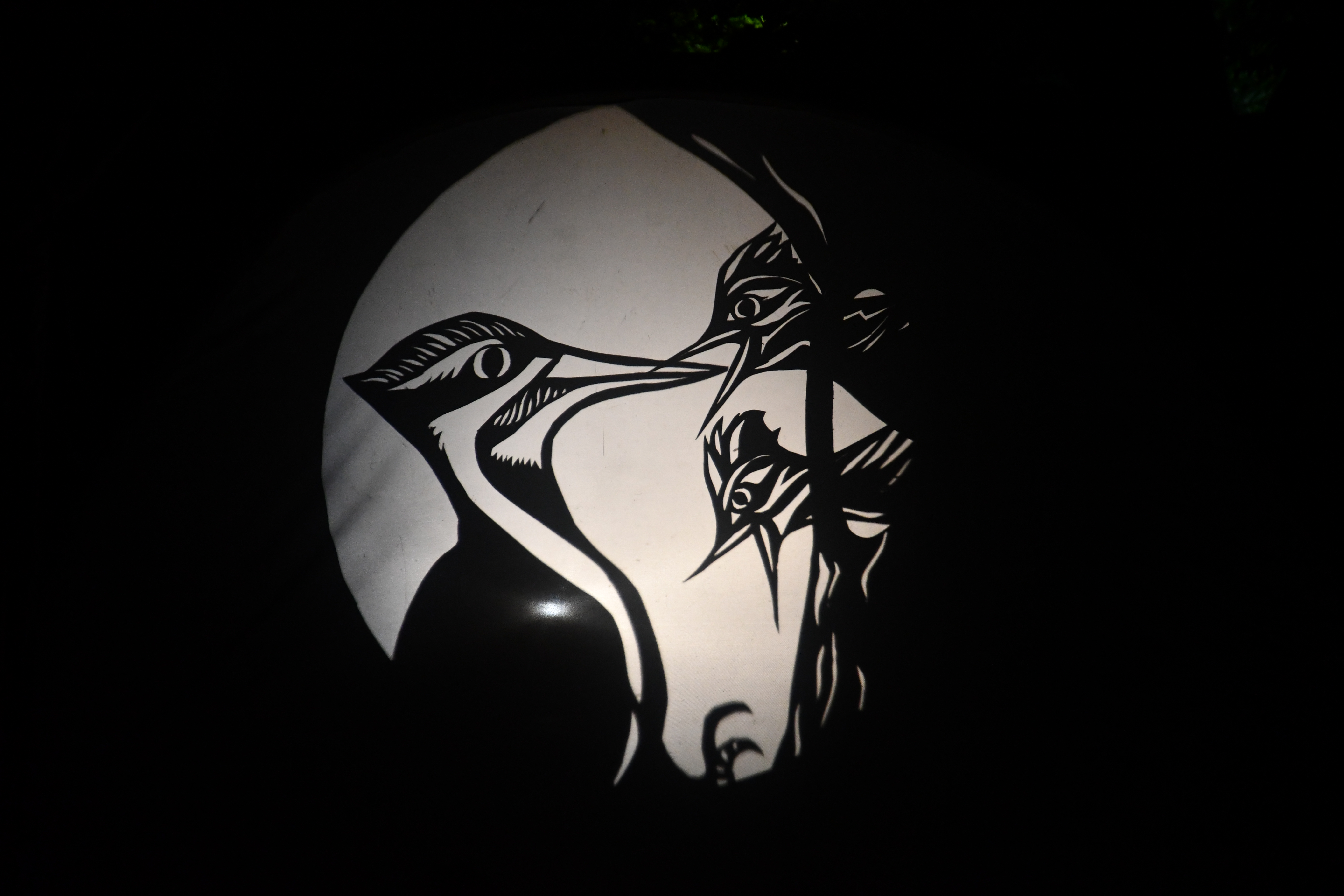 Shadow puppet of an adult woodpecker feeding two chicks.